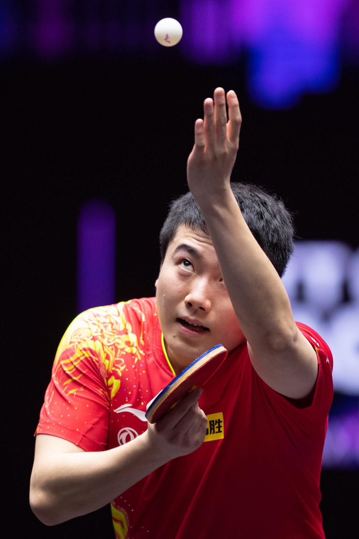 奥地利队横扫葡萄牙队,王皓状态火热 奥地利队横扫葡萄牙队,王皓状态火热